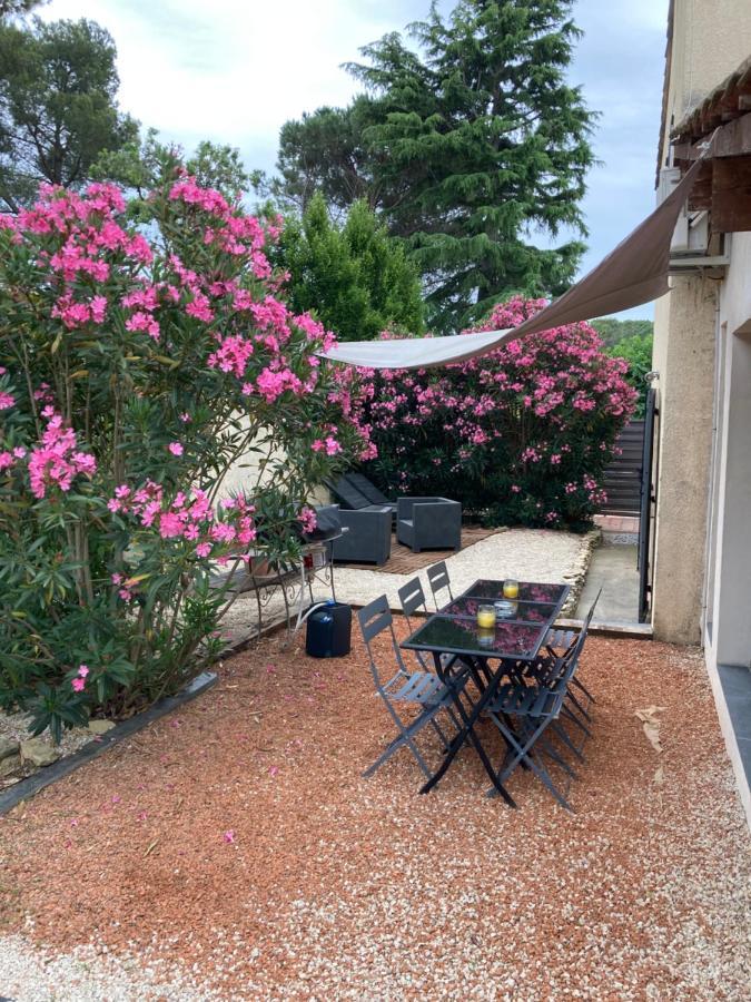 Au Coeur De La Pinede De 1 A 4 Personnes Villa Langlade Luaran gambar